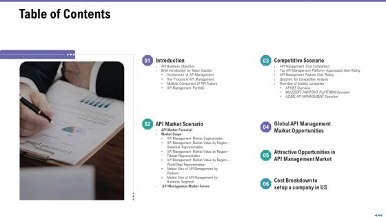 Market Viewpoint Application Programming Interface Governance Table Of Contents Summary PDF