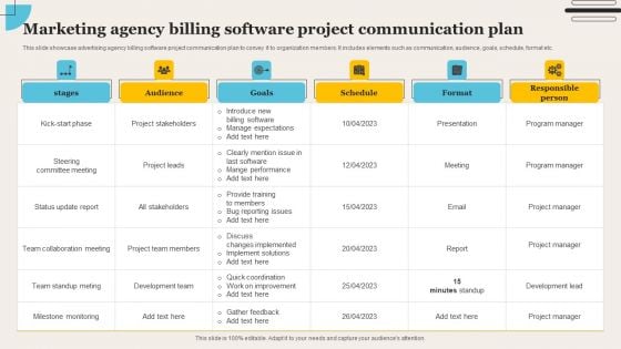 Marketing Agency Billing Software Project Communication Plan Elements PDF