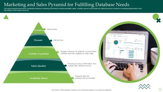Marketing And Sales Pyramid For Fulfilling Database Needs Infographics PDF