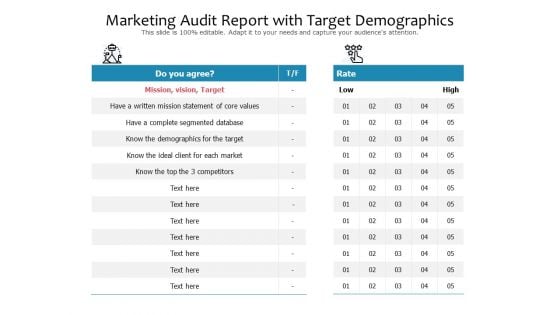 Marketing Audit Report With Target Demographics Ppt PowerPoint Presentation File Layouts PDF