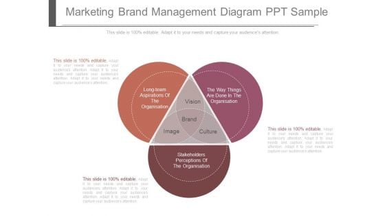 Marketing Brand Management Diagram Ppt Sample