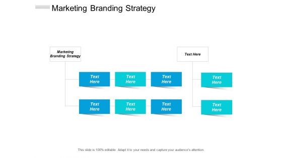 Marketing Branding Strategy Ppt PowerPoint Presentation Layouts Slide Cpb