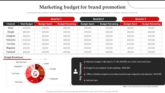 Marketing Budget For Brand Promotion Brand Introduction Plan Diagrams PDF