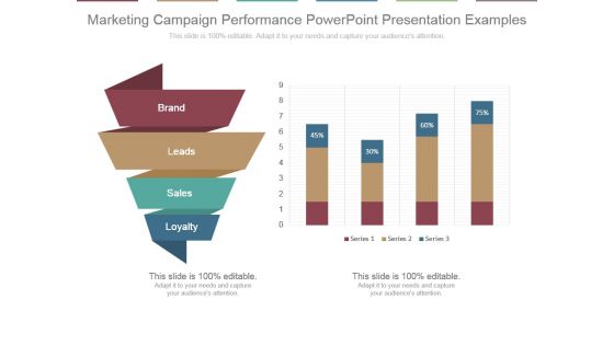 Marketing Campaign Performance Powerpoint Presentation Examples