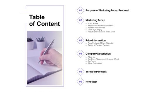 Marketing Campaign Table Of Content Elements PDF