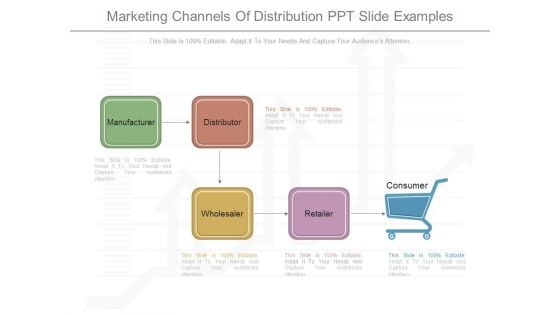 Marketing Channels Of Distribution Ppt Slide Examples