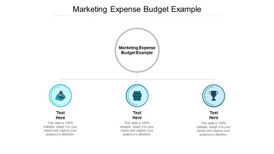 Marketing Expense Budget Example Ppt PowerPoint Presentation Icon Graphics Download Cpb