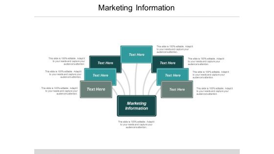 Marketing Information Ppt PowerPoint Presentation Model Outline Cpb