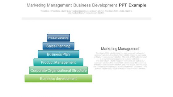 Marketing Management Business Development Ppt Example