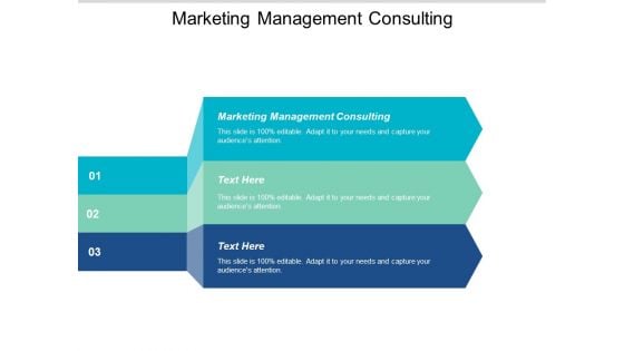 Marketing Management Consulting Ppt PowerPoint Presentation Pictures Templates Cpb