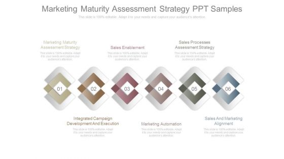 Marketing Maturity Assessment Strategy Ppt Samples