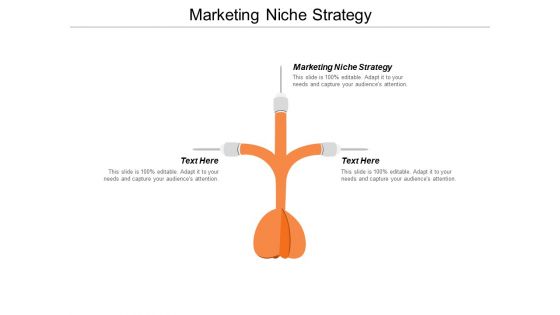 Marketing Niche Strategy Ppt Powerpoint Presentation Model Vector Cpb