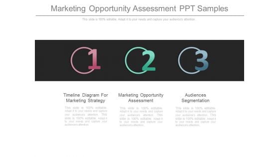 Marketing Opportunity Assessment Ppt Samples