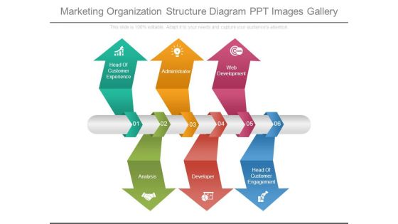 Marketing Organization Structure Diagram Ppt Images Gallery