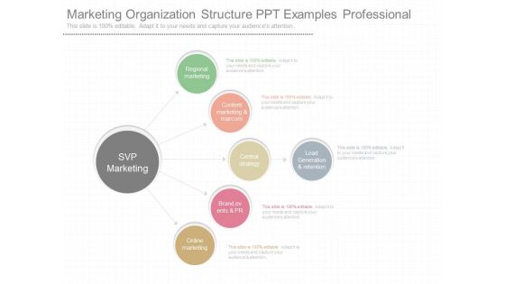 Marketing Organization Structure Ppt Examples Professional