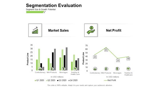 Marketing Performance Measurement Segmentation Evaluation Ppt Gallery Picture PDF