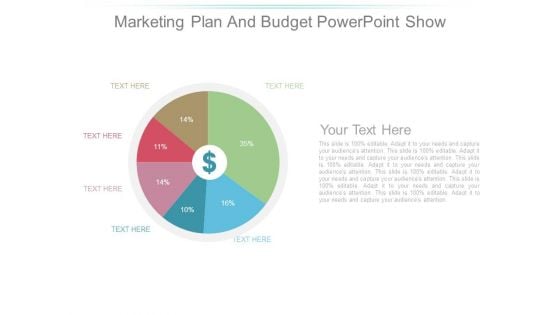 Marketing Plan And Budget Powerpoint Show