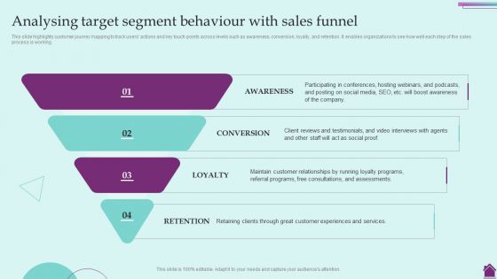 Marketing Plan And Its Implementation Analysing Target Segment Behaviour With Sales Professional PDF