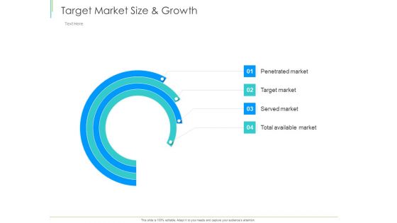 Marketing Plan Implementation Target Market Size And Growth Ppt File Model PDF