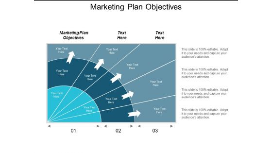 Marketing Plan Objectives Ppt Powerpoint Presentation Outline Example Cpb