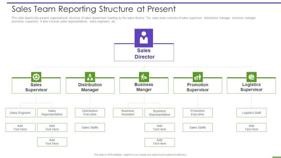 Marketing Playbook To Maximize ROI Sales Team Reporting Structure At Present Ideas PDF