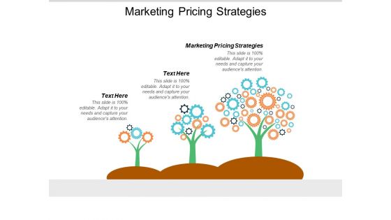 Marketing Pricing Strategies Ppt PowerPoint Presentation Styles Example  Cpb