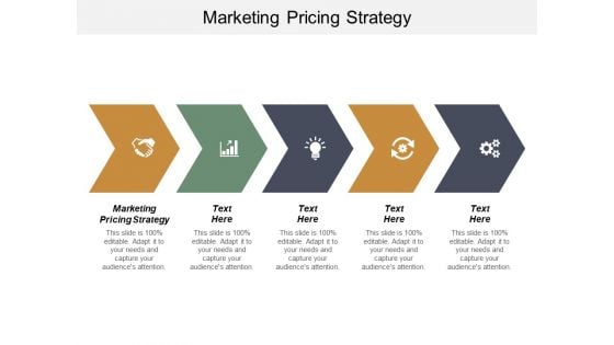 Marketing Pricing Strategy Ppt PowerPoint Presentation Pictures Slides Cpb