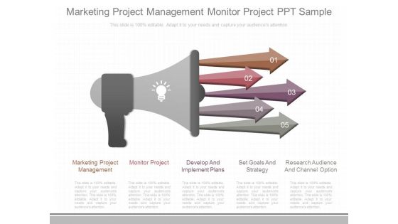 Marketing Project Management Monitor Project Ppt Sample