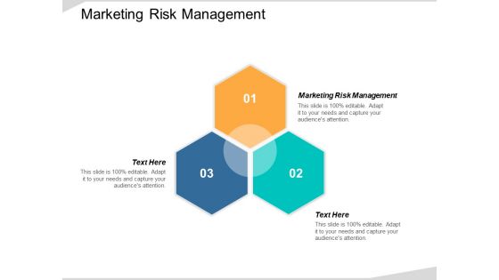 Marketing Risk Management Ppt Powerpoint Presentation Show Mockup Cpb