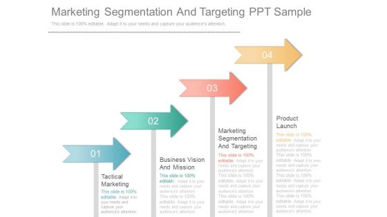 Marketing Segmentation And Targeting Ppt Sample