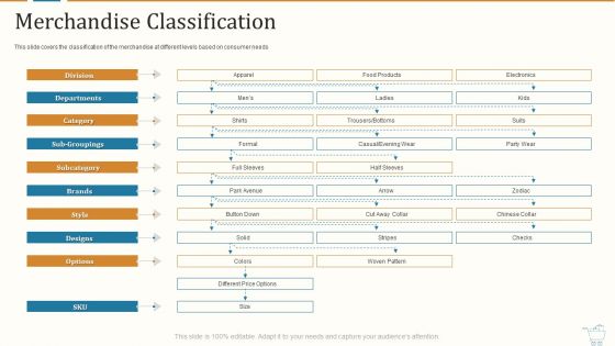 Marketing Strategies For Retail Store Merchandise Classification Summary PDF