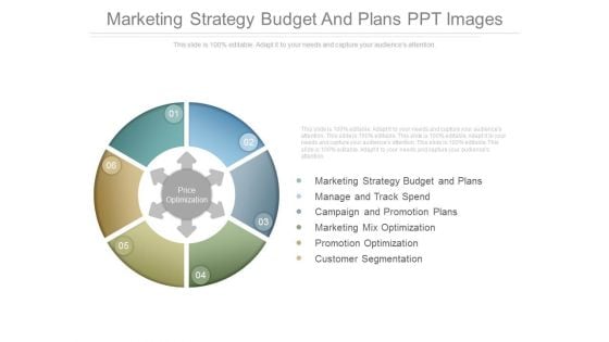 Marketing Strategy Budget And Plans Ppt Images