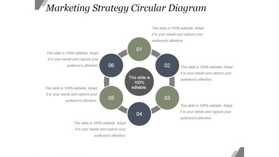 Marketing Strategy Circular Diagram Ppt PowerPoint Presentation Picture