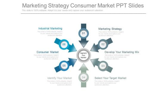 Marketing Strategy Consumer Market Ppt Slides