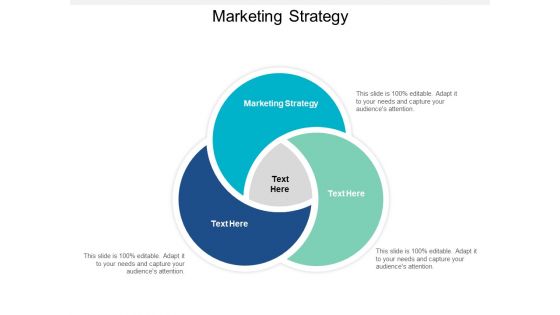 Marketing Strategy Ppt PowerPoint Presentation Layouts Images Cpb