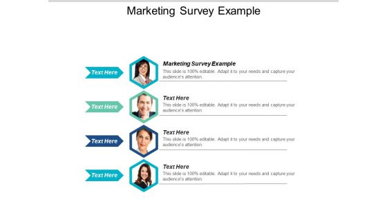 Marketing Survey Example Ppt PowerPoint Presentation Gallery Format Cpb