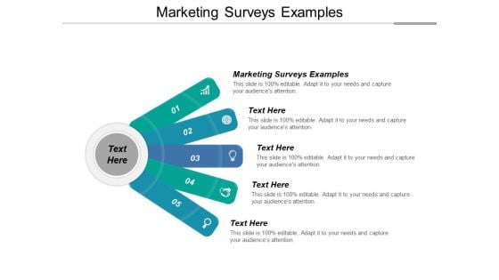 Marketing Surveys Examples Ppt PowerPoint Presentation Infographics Introduction Cpb