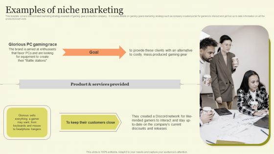 Marketing Techniques For Increasing Target Audience Examples Of Niche Marketing Pictures PDF