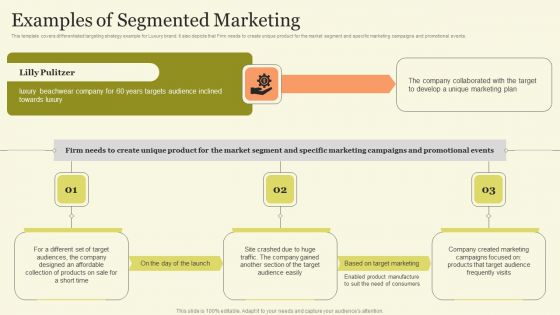 Marketing Techniques For Increasing Target Audience Examples Of Segmented Marketing Guidelines PDF