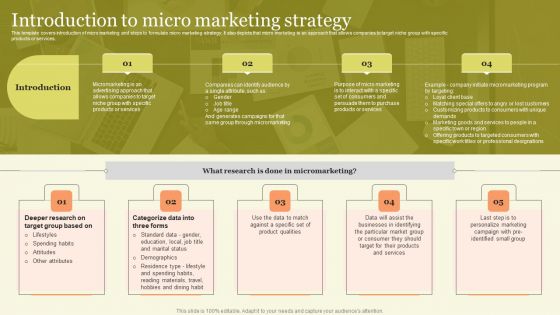 Marketing Techniques For Increasing Target Audience Introduction To Micro Marketing Strategy Professional PDF