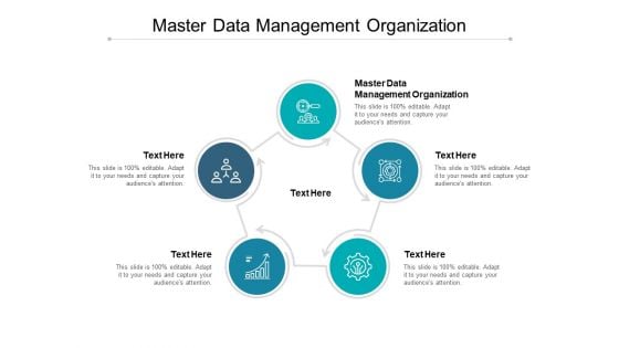 Master Data Management Organization Ppt PowerPoint Presentation Outline Images Cpb