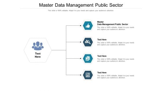 Master Data Management Public Sector Ppt PowerPoint Presentation Layouts Icon Cpb Pdf