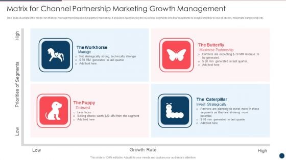 Matrix For Channel Partnership Marketing Growth Management Ppt PowerPoint Presentation File Example PDF