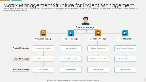 Matrix Management Structure For Project Management Summary PDF