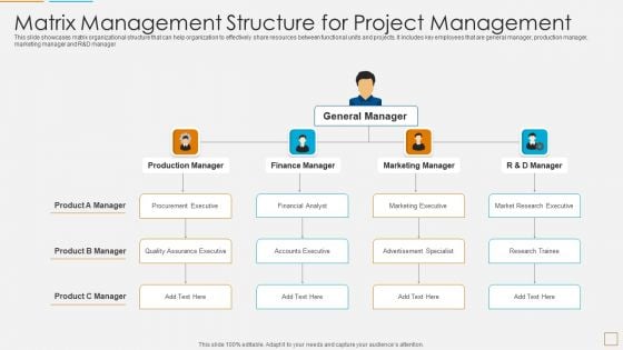 Matrix Management Structure For Project Management Summary PDF