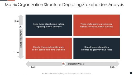 Matrix Organization Structure Depicting Stakeholders Analysis Portrait PDF