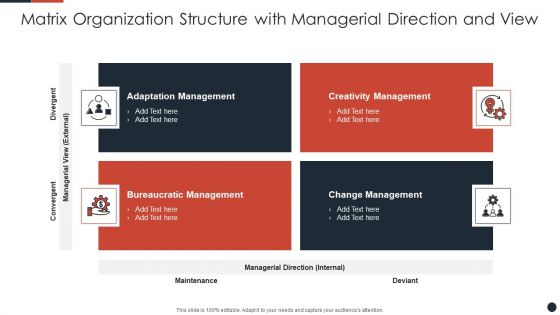 Matrix Organization Structure With Managerial Direction And View Inspiration PDF