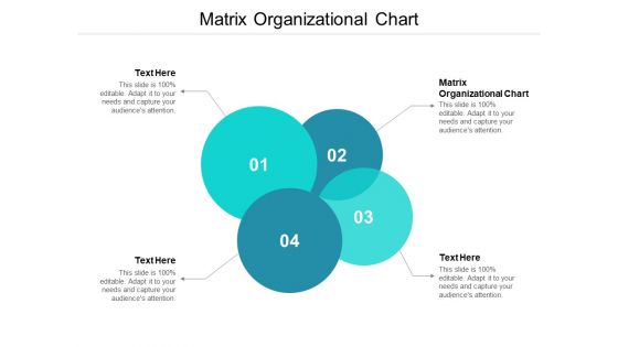 Matrix Organizational Chart Ppt PowerPoint Presentation Model Inspiration Cpb