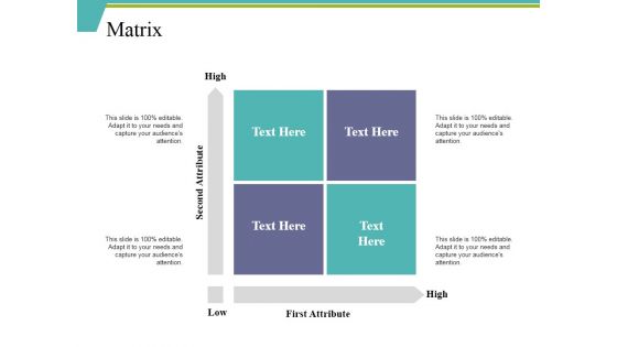 Matrix Ppt PowerPoint Presentation Icon Example File