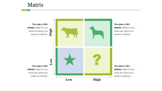 Matrix Ppt PowerPoint Presentation Ideas Pictures Matrix Ppt PowerPoint Presentation Ideas Pictures